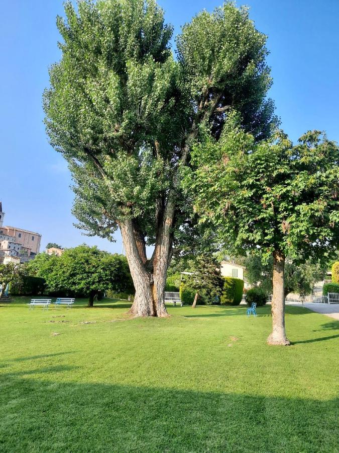 Residenza Palmira Bardolino Apartment Calmasino ภายนอก รูปภาพ